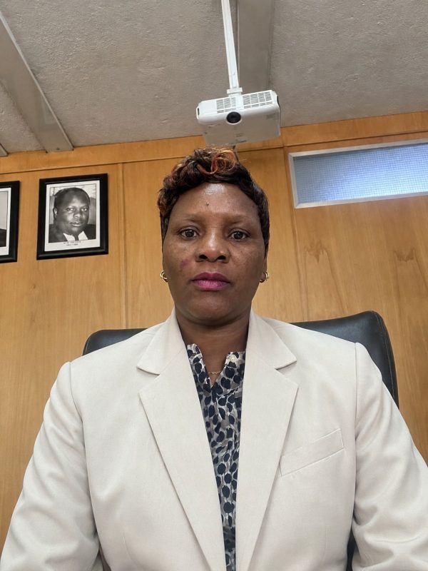 Board Chairman Ms Nothando Dube